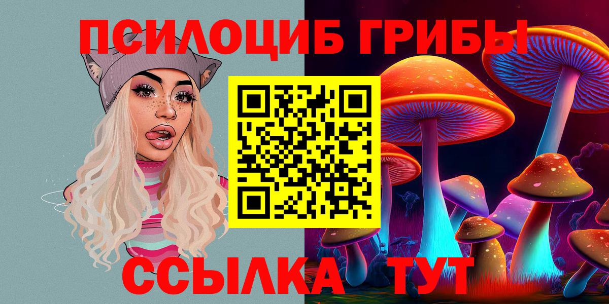 Тайшет  Псилоцибиновые грибы прущие грибы  Вход с VPN  Галлюциногенные грибы мухоморы 