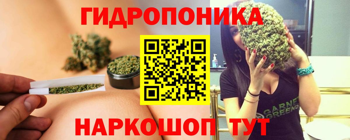 Канабис семена  Конопля индика  МАРИХУАНА семена  Тайшет  Вход с VPN 